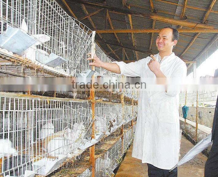 Animal Farm, Poultry Equipment