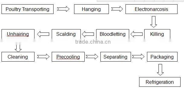 slaughterhouse equipment for chicken slaughterhouse processing