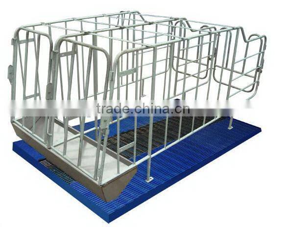 Pig farming equipment swine gestation stall
