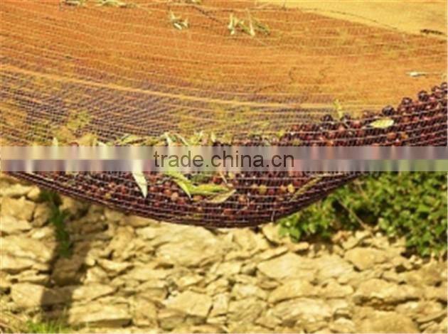olive picking net