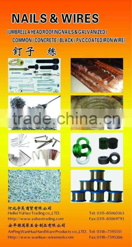 Wanhua--Common Iron Nail Manufacturer