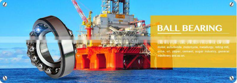 Stainless self-aligning ball bearing 1310