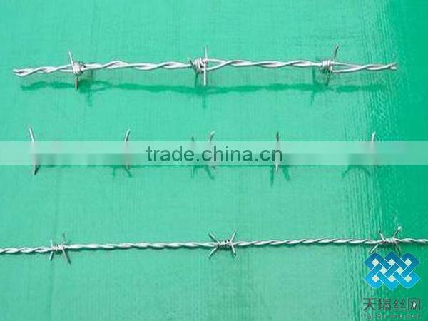 best price and quality of barbed wire manufacture