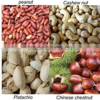 Peanut roasting equipment