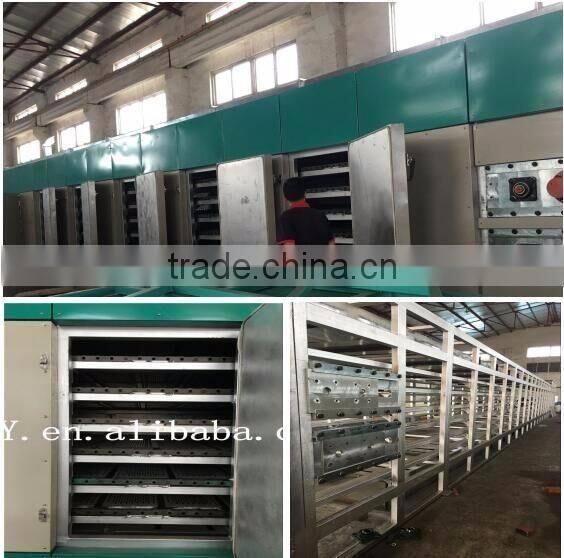 Paper Egg Tray Plant Egg Tray Production Line