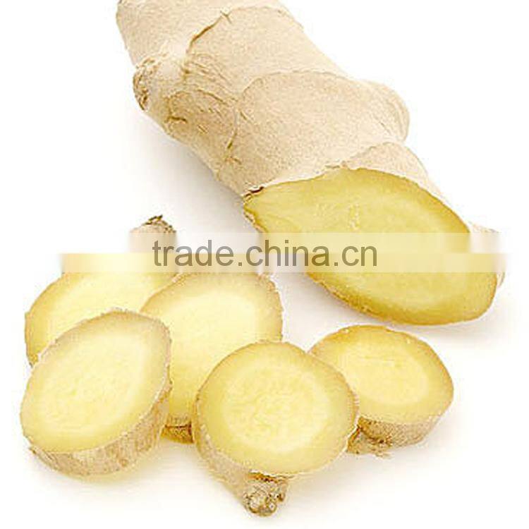 Ginger Multiple layer continuous type mesh belt dryer