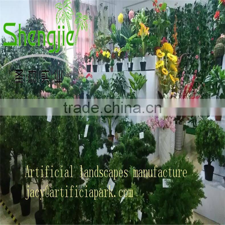 coconut trees pyrene