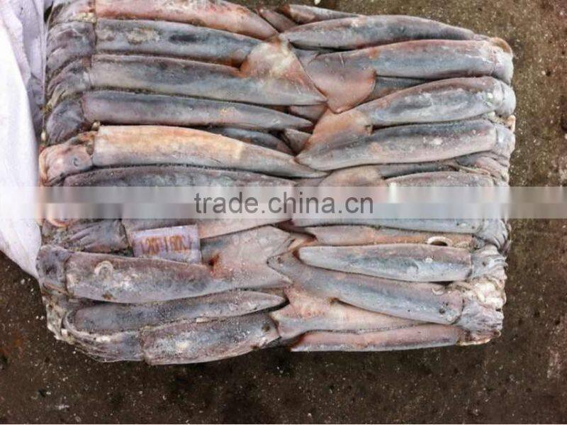 seaweed salad illex squid