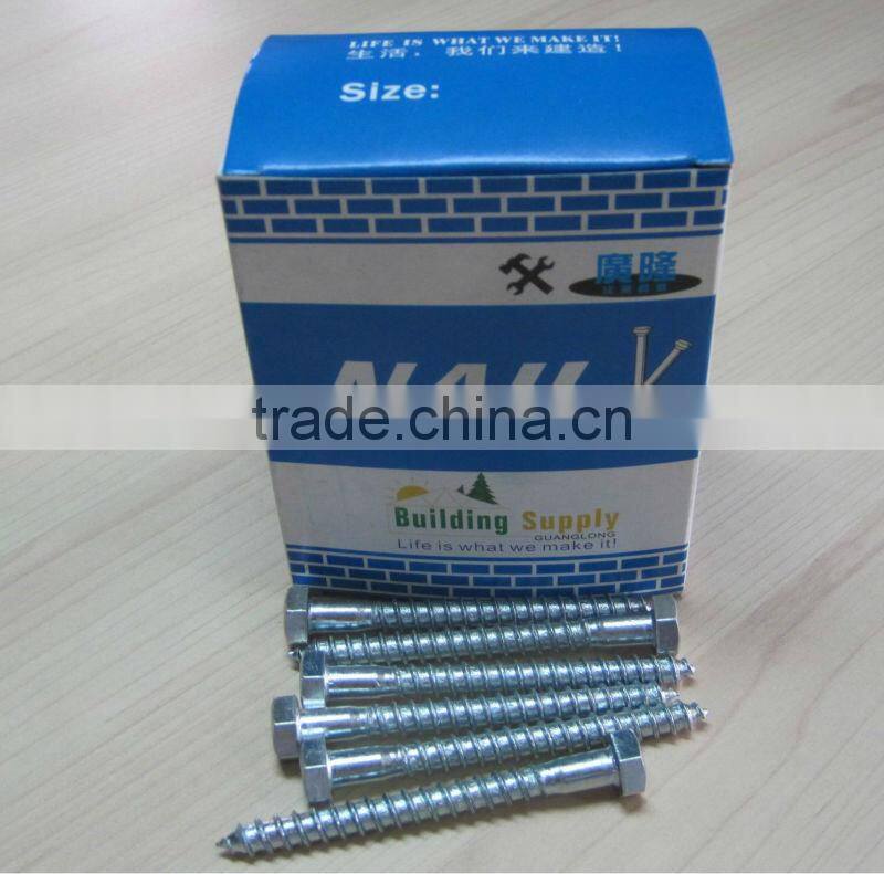 Hexagon Head Self Tapping Screw from Guangzhou Supplier