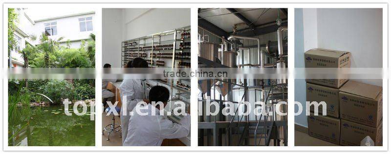 Pure Natural cassia oil from professional manufacturer