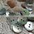Natural Shell Buttons Color Japan Mother of Pearl MOP Round Shell Sewing Buttons 2 Hole Button 10mm