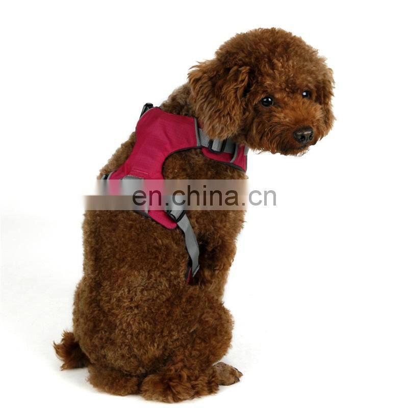 dog training bite suit