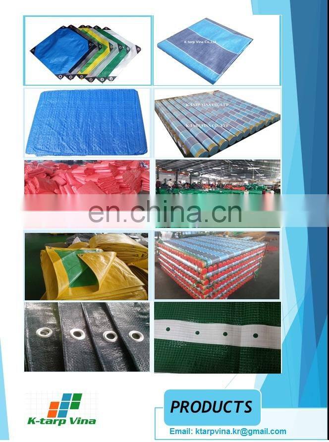ECONOMY GREEN PE TARPAULIN, LIGHT DUTY TARP, 100 GSM  (ROLL TYPE)