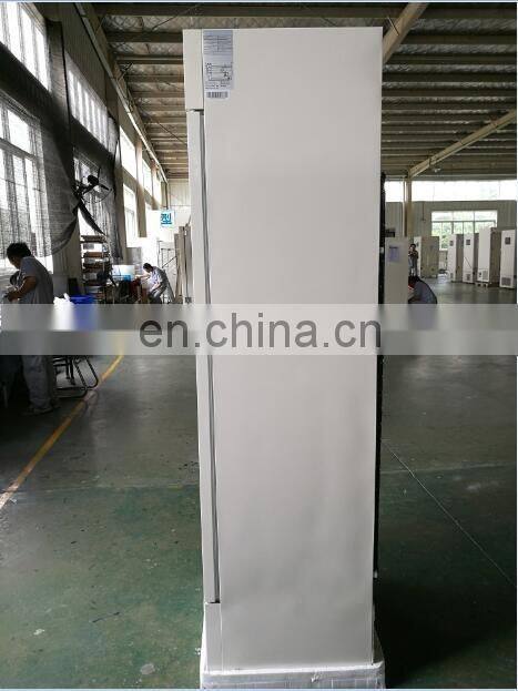 glass door deep Vertical freezer with locking door