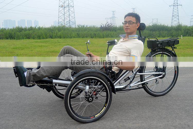 Pedal assisted single person recumbent trike
