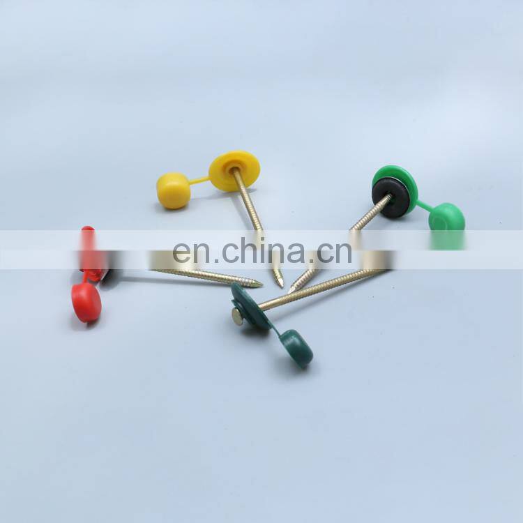 Plastic Cap Umbrella Head Roofing Nails Stainless Steel Nails With Plastic Head