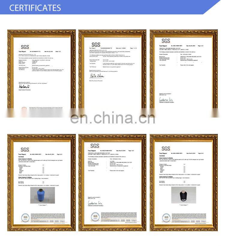 High Tenacity Recycled Raw White 100% Polyester Nylon 6 Nylon 66 Bonded Sewing Thread for Sports Clothes 150D