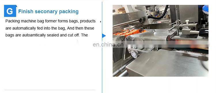 Cake wafer cracker HFFS multipack small pouch into plastic bag automatic feeding packing system