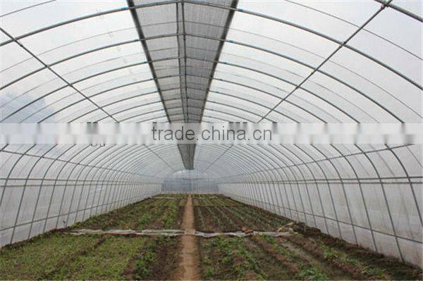 Galvanized Structure Low Tunnel Greenhouse