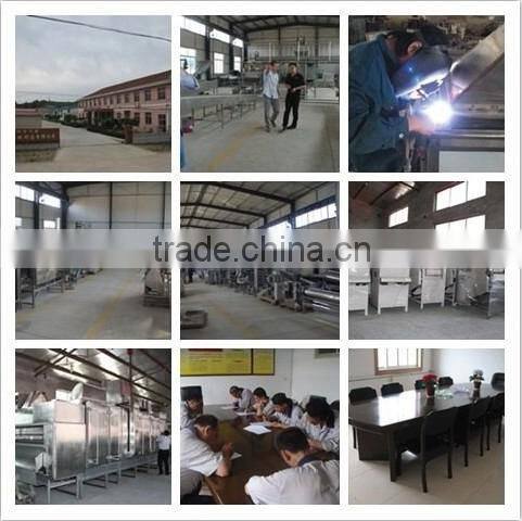 Automatic fried nut/peanut/green bean/broad bean production line with CE,ISO9001
