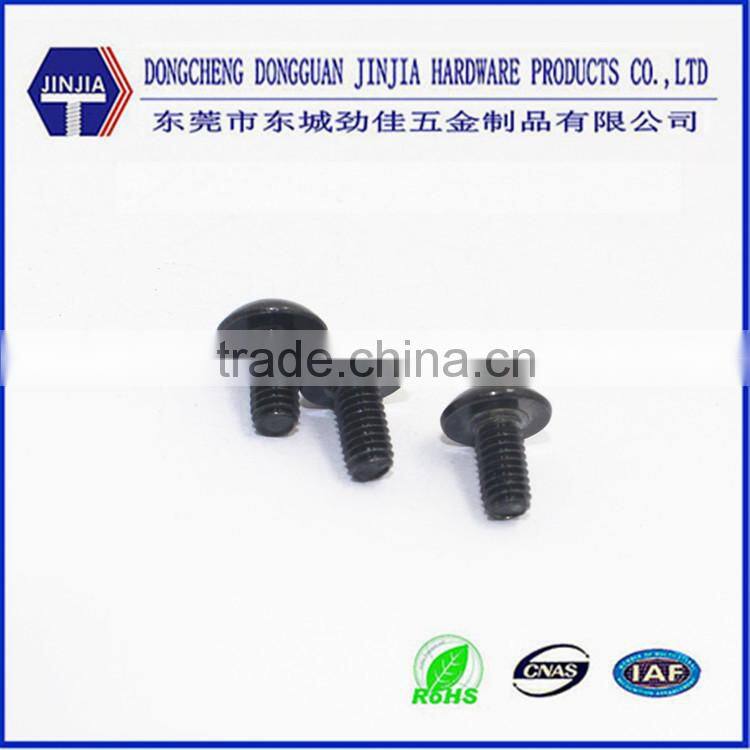 China screw manufacturer M1.0-6.0 black zinc plated torx security screw