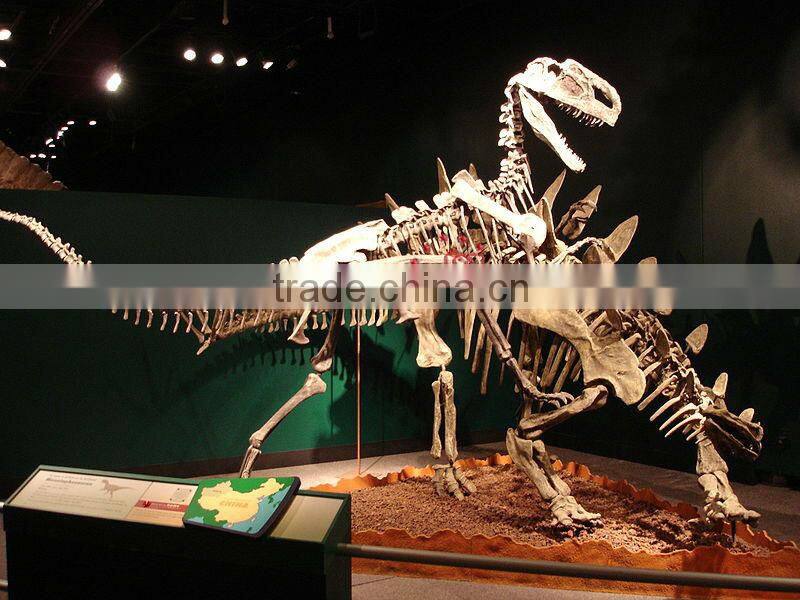 Artificail Simulation Dinosaur Skeleton Fossil For Museum