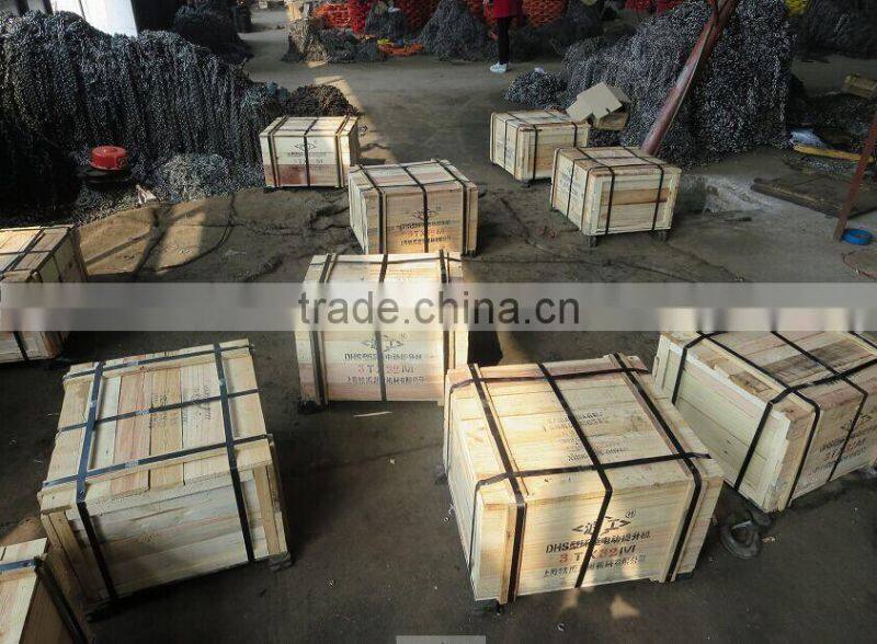 DHP Type Electric Chain Hoist with 20 ton Lifting Compacity