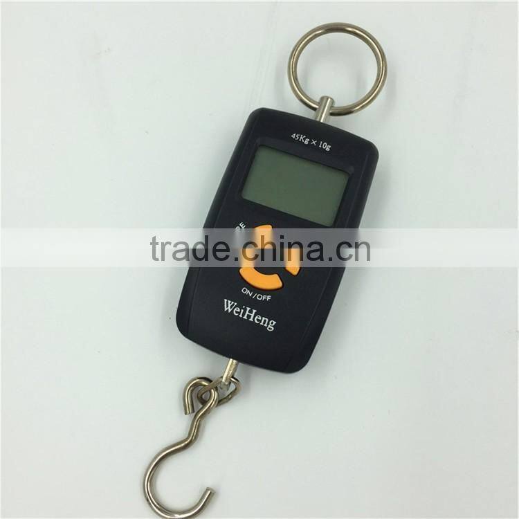 LCD display dual precision digital portable fishing scale CE ROHS pass