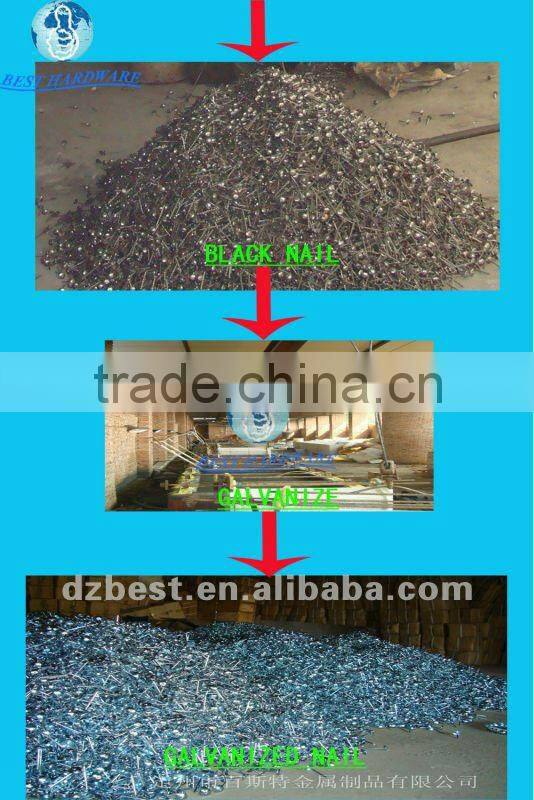 11 bwg galvanized corrugated roofing nail