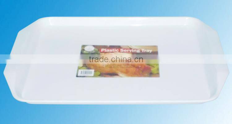 Plastic Rectangular Serving Tray For BBQ Or School Party Or Restaurant