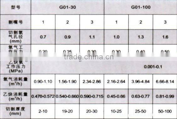 G01-30 G01-100 cutting/welding torch