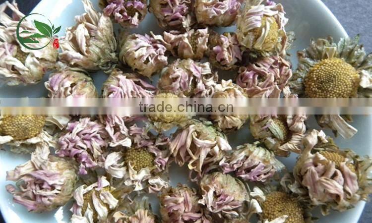 Organic Dried Purple Chrysanthemum Herbal Tea