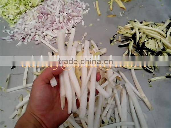 Hot sale eggplant strip machine
