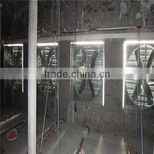 Automatic poultry farm equipment for chicken broiler