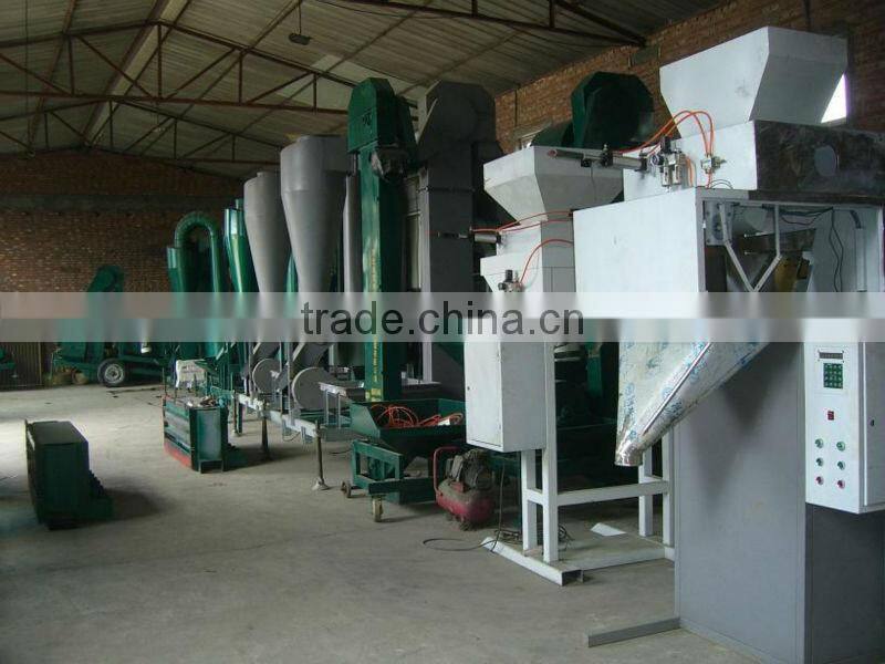 DCS-B Automatic grain packing Machine