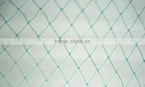 orchard Net, professional agriculture net, plant support net