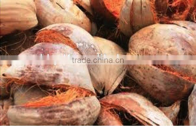 coconut fiber making machine with big production capacity