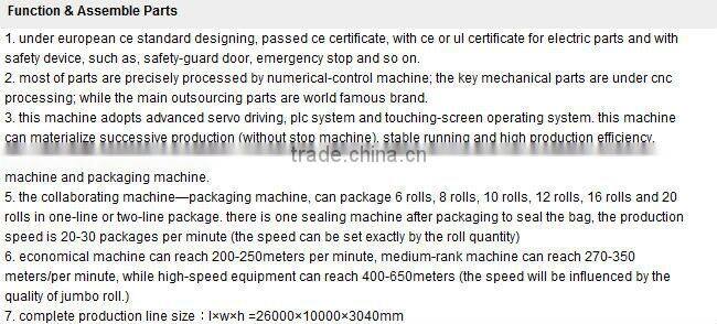 DL-WSZ-LX 2500 Series of Full-automatic High-speed Kitchen Towel Auto Packaging Production Line