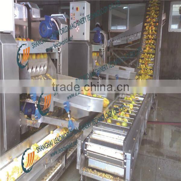 best price crataegus canning machine/ Crataegus production plant