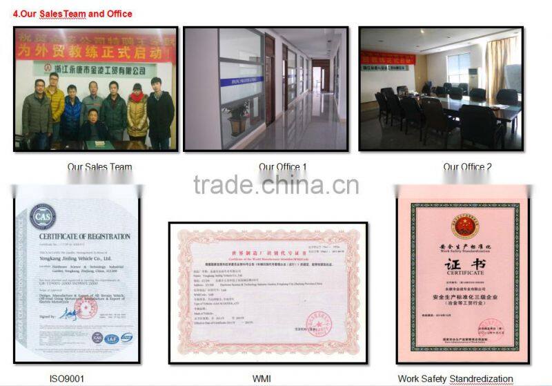 Jinling 300cc UTV quad bike foe sale