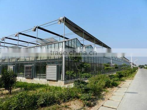 Sunshine ecological building glass greenhouse