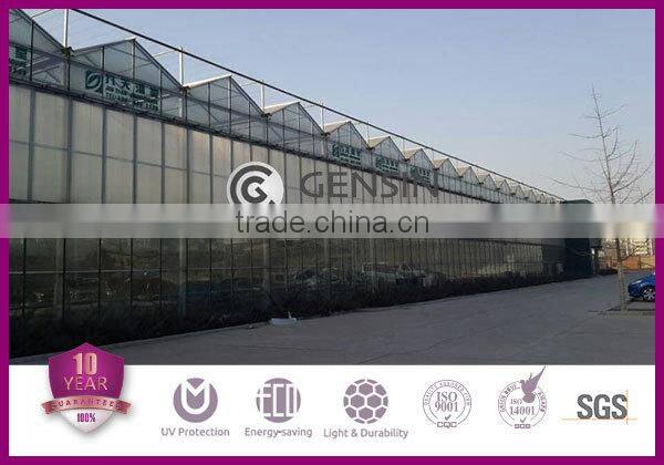 UV Coated Twinwall Hollow Polycarbonate Sheet Greenhouse