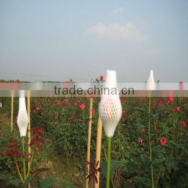 plastic sleeve tray for fruit