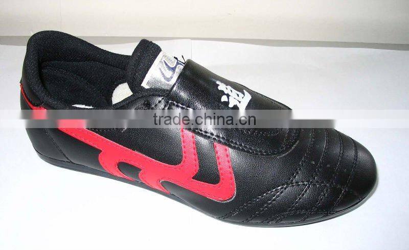 kungfu Shoes