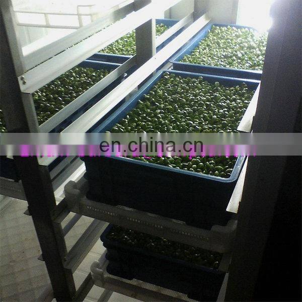 hot Sale Automatic bean soybean mungbean sprout peeling cleaning washing growing making machine