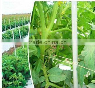 Fiberglass vegetable garden stake