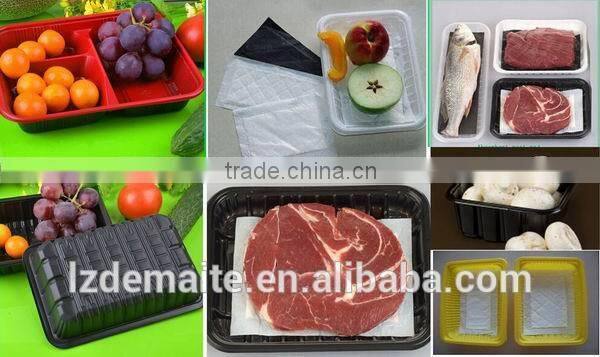 China Professional Manufacturer&Exporter With Absorbent Pad Plastic PP Meat Tray