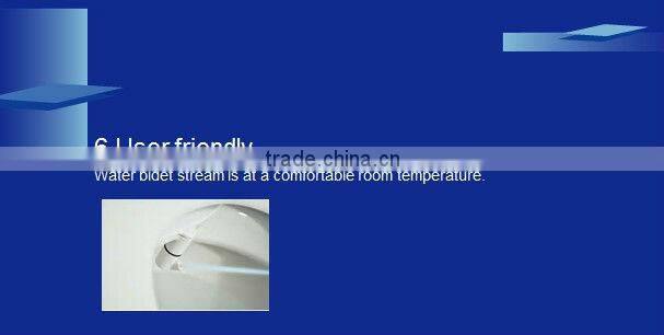 le petit toilet bidet great thing of a boon for Hemorrhoids patient