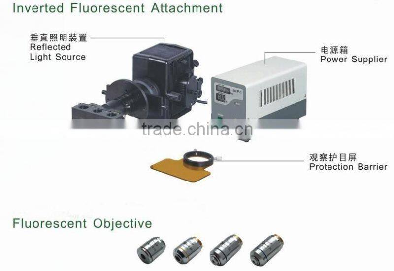 NIB-100F Professional Trinocular Inverted Fluorescent Biological Microscope with camera