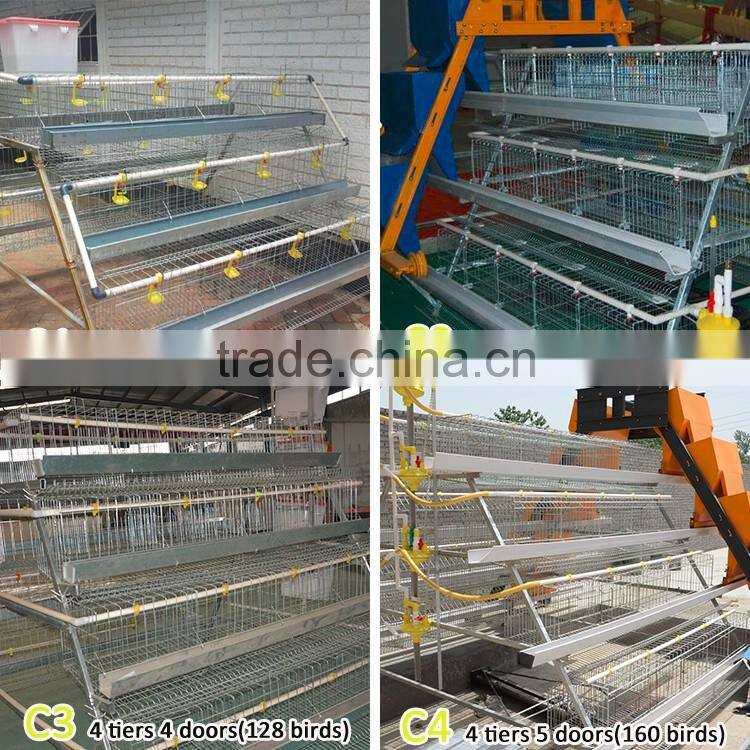 chicken and poultry farming use type poultry farming equipment